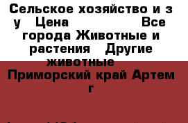 Сельское хозяйство и з/у › Цена ­ 2 500 000 - Все города Животные и растения » Другие животные   . Приморский край,Артем г.